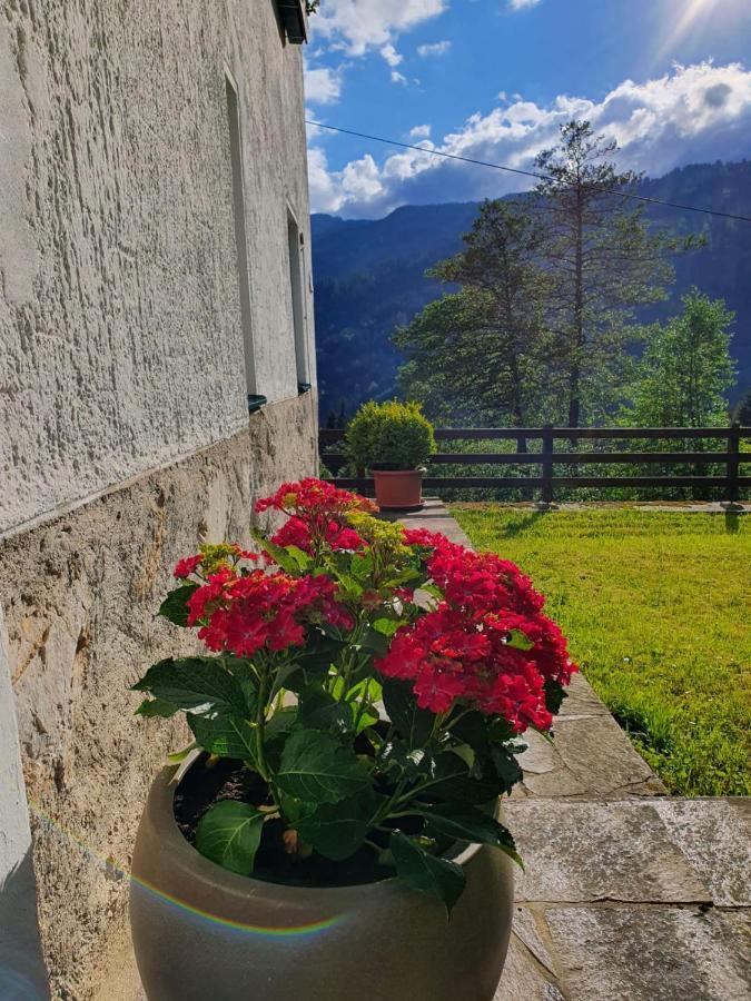 Pension Gut Troegern Bad Eisenkappel Exterior photo